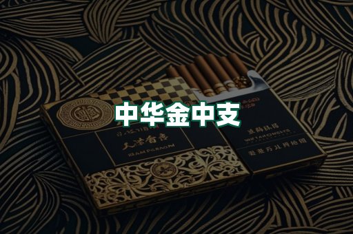 中华金中支